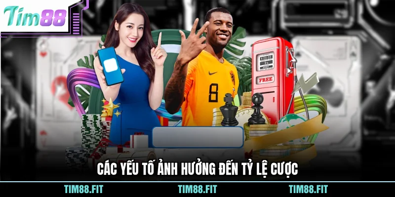 Các yếu tố ảnh hưởng đến tỷ lệ cược