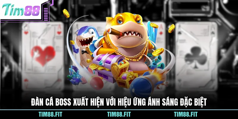 Đàn cá Boss xuất hiện với hiệu ứng ánh sáng đặc biệt