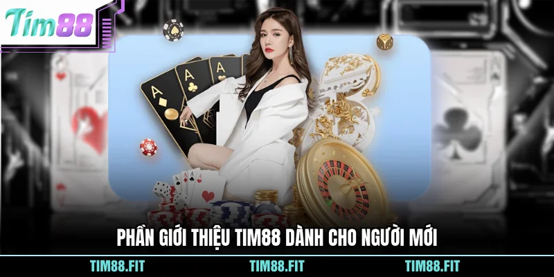 Phần giới thiệu Tim88 dành cho người mới