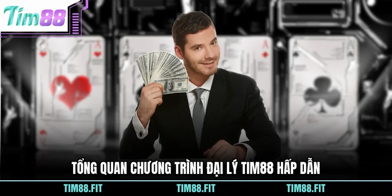 Tổng quan chương trình đại lý Tim88 hấp dẫn