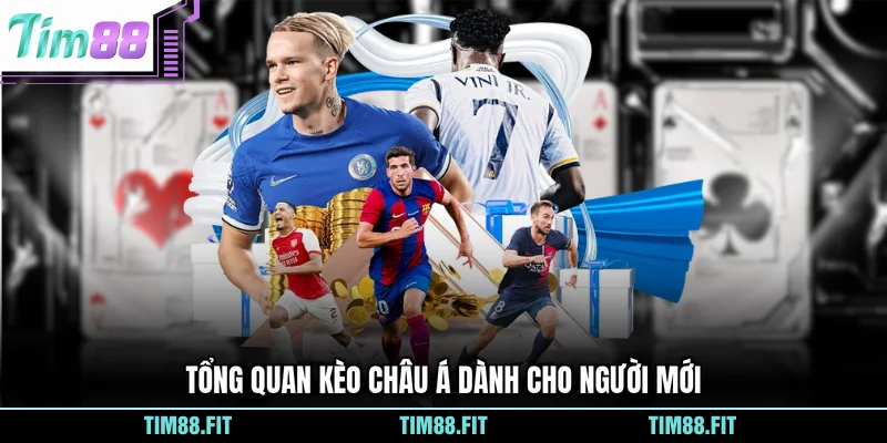 Tổng quan kèo châu Á dành cho người mới
