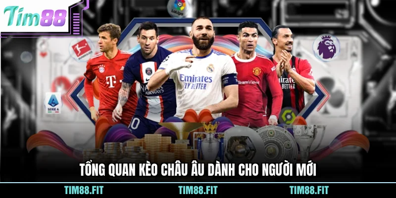Tổng quan kèo châu Âu dành cho người mới