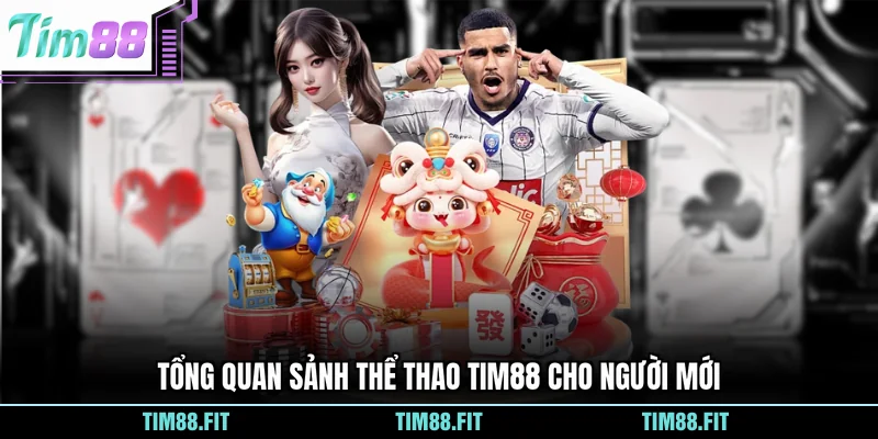 Tổng quan sảnh thể thao Tim88 cho người mới